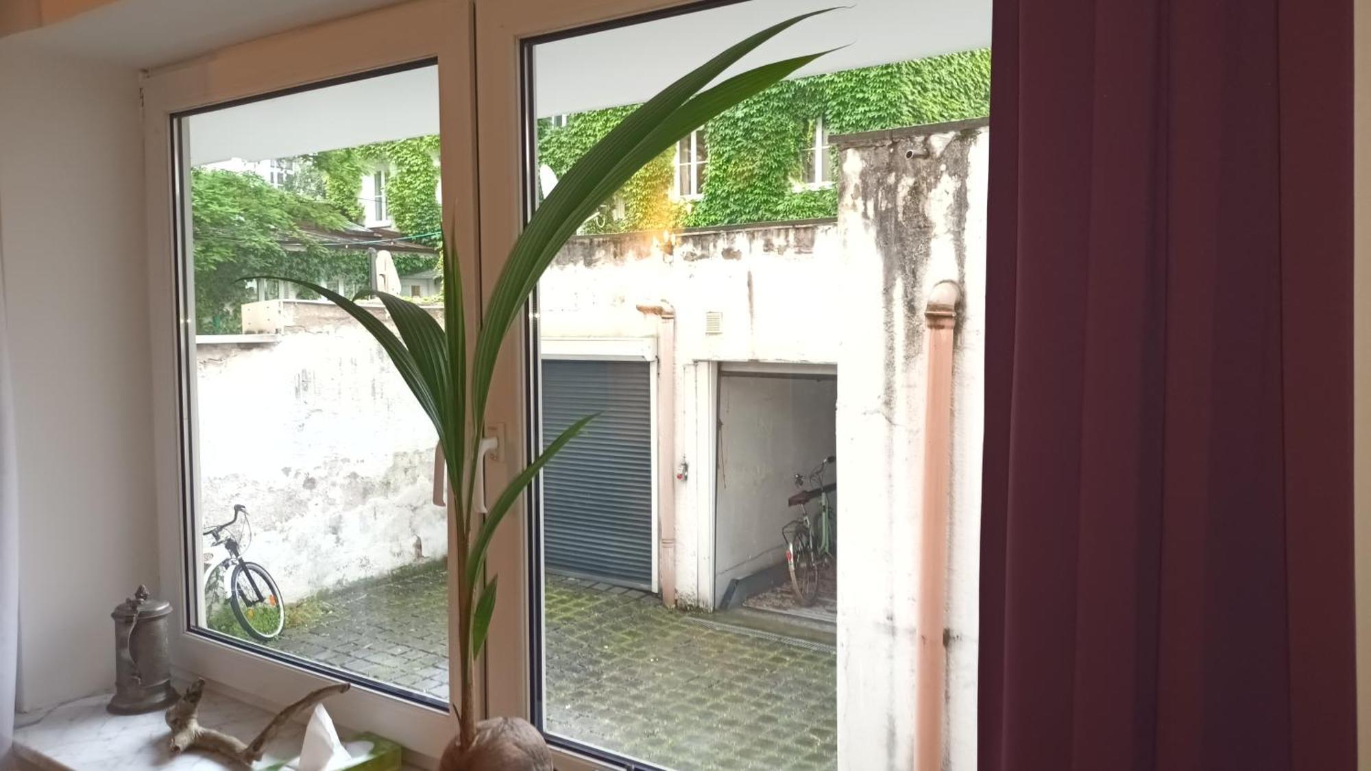 Stilvolles Appartement Im Zentralen Schwabing - Innenstadt 慕尼黑 外观 照片
